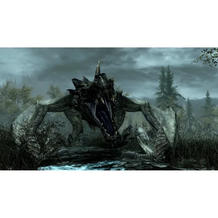 Microsoft The Elder Scrolls V: Skyrim - Anniversary Edition, Jeu complet en français pour Nintendo Switch 2