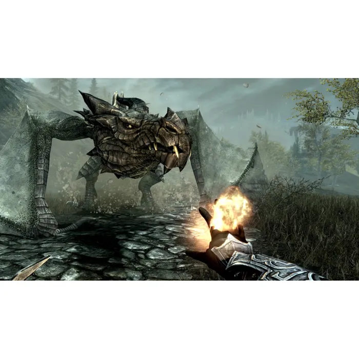 Microsoft The Elder Scrolls V: Skyrim - Anniversary Edition, Jeu complet en français pour Nintendo Switch 2