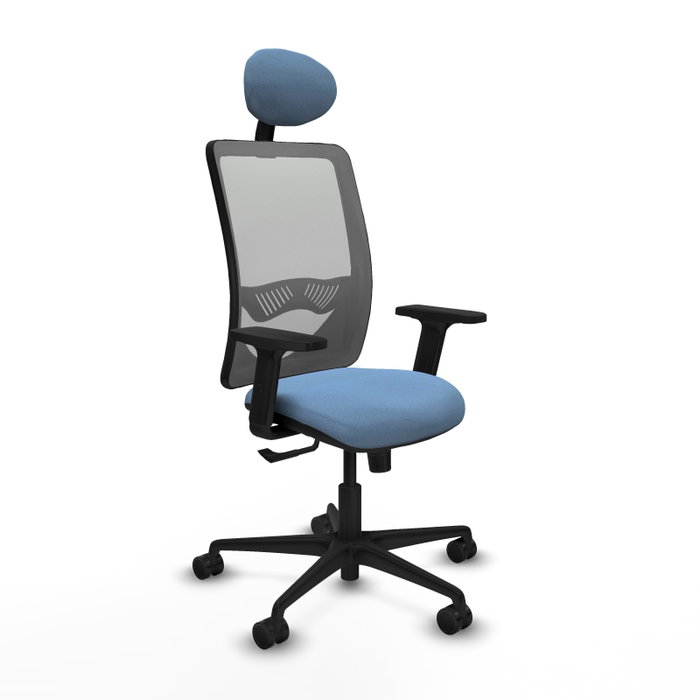 PIQUERAS Y CRESPO Chaise Zulema Synchro Bleu ciel et Gris avec Appui-tête et Accoudoirs 2D PIQUERAS Y CRESPO Chaise Zulema Synchro Bleu ciel et Gris avec Appui-tête et Accoudoirs 2D