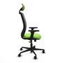 PIQUERAS Y CRESPO Chaise Zulema Synchro Vert pistache et Gris
