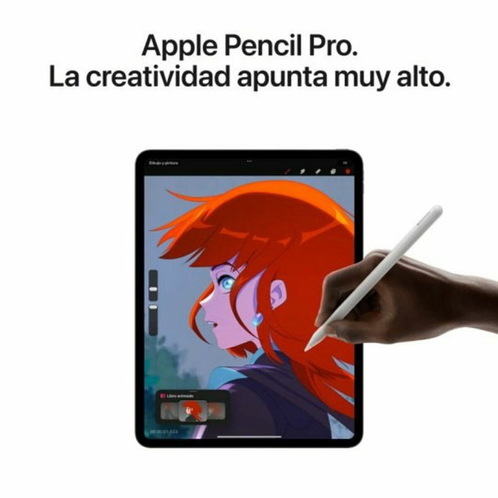 Apple iPad Pro 2024 11 pouces Argenté 512 GB 8 GB RAM Apple iPad Pro 2024 11 pouces Argenté 512 GB 8 GB RAM
