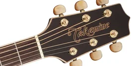 Takamine GD71CE-BSB