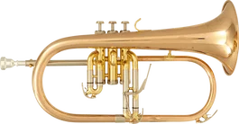 SML FLISCORNO BU600