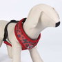 Cerdá Arnés T2XS Harnais pour Chien Mickey, Taille XS/S, Noir