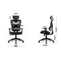 Huzaro Chaise de jeu Combat 8.0 Carbon Noir