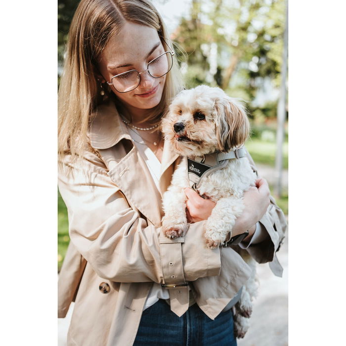 Harnais pour Chien Hunter DIVO UP Beige XS