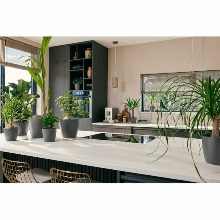 Elho Lot de 3 pots de fleurs ronds The Coffee Collection - Espresso Brun