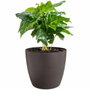 Elho Lot de 3 pots de fleurs ronds The Coffee Collection - Espresso Brun
