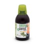 PLANTAPOL GREEN COFFEE plus liquide 500ml