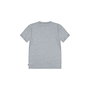 T shirt à manches courtes Enfant Levi's Lvb On The Road Batwing Gris clair XL