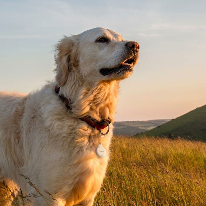 Câble USB Hama 00185815 Blanc