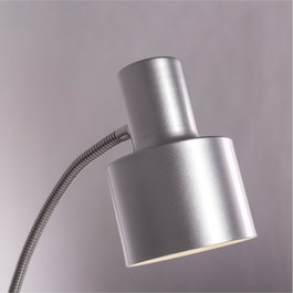 Lampe de Bureau Secunderabad avec Pince en Acier