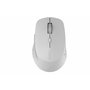 Souris Rapoo 00184340 Blanc Gris 1600 dpi