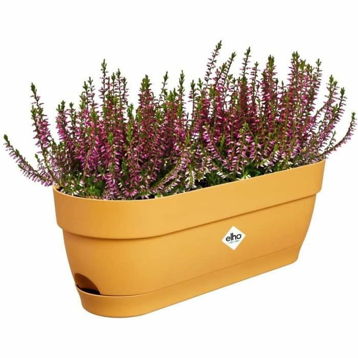 Elho Vibia Campana Jardinière de balcon ovale Jaune Miel Elho Vibia Campana Jardinière de balcon ovale Jaune Miel