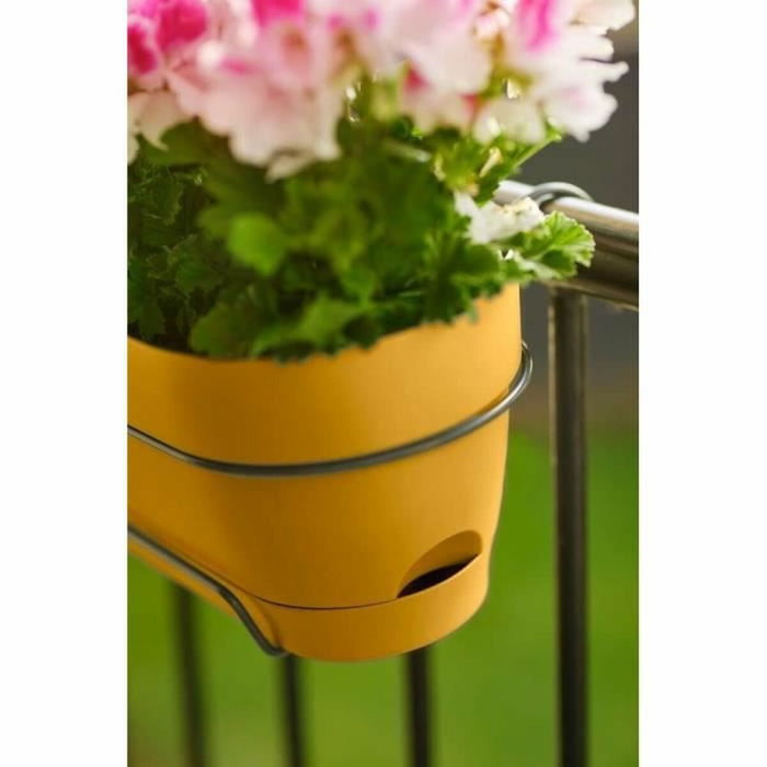Elho Vibia Campana Jardinière de balcon ovale Jaune Miel Elho Vibia Campana Jardinière de balcon ovale Jaune Miel