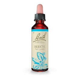 FLORES BACH ORIGINAL BEECH haya 20ml