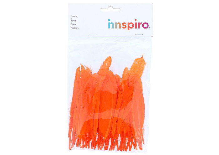 Innspiro Plumes indio orange 60 pièces