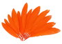 Innspiro Plumes indio orange 60 pièces