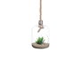 GIFTDECOR Vase Suspendu Forme Ampoule avec Corde - Petit
