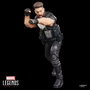 Hasbro Marvel Legends Series The Punisher 15 cm