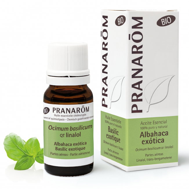 PRANAROM ACEITES Albahaca Exotica huile essentielle BIO 10 ml PRANAROM ACEITES Albahaca Exotica huile essentielle BIO 10 ml