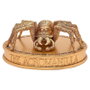 WIDDOP & CO Figura Aragog Harry Potter 7cm