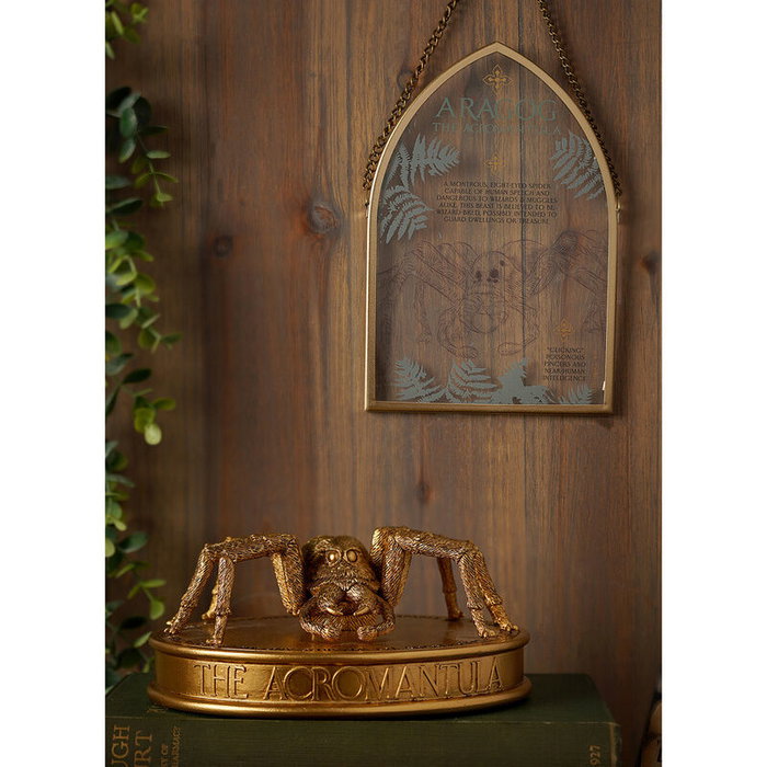 WIDDOP & CO Figura Aragog Harry Potter 7cm