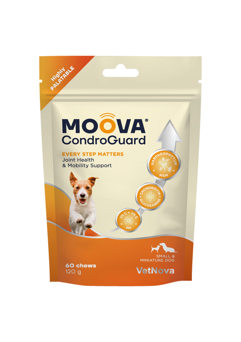 Vetnova Moova Condroguard pour chiens Small & Miniature, 60 chews Vetnova Moova Condroguard pour chiens Small & Miniature, 60 chews