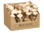 Giftdecor Vase Bouquet Fleurs 3 Modèles Assortis Fibre Naturelle et Verre Blanc 11x25x11 cm (Set de 12)