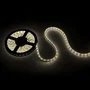 Bande de LED SMD 5050 Blanc Chaud 12VDC IP68 Submersible 5m