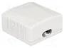 DELOCK Prise murale RJ45 double socle Cat 6a blanc