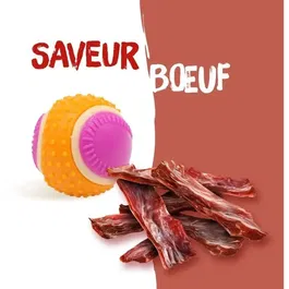 Aime Balle pour Chien Rebondissante 5 en 1 - Saveur Boeuf, 6 cm, Stimulation Ludique et Sensorielle