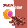 Aime Balle pour Chien Rebondissante 5 en 1 - Saveur Boeuf, 6 cm, Stimulation Ludique et Sensorielle