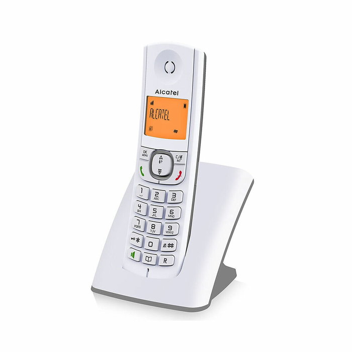 Alcatel F530 Téléphone sans fil Gris et Blanc