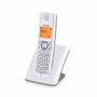 Alcatel F530 Téléphone sans fil Gris et Blanc