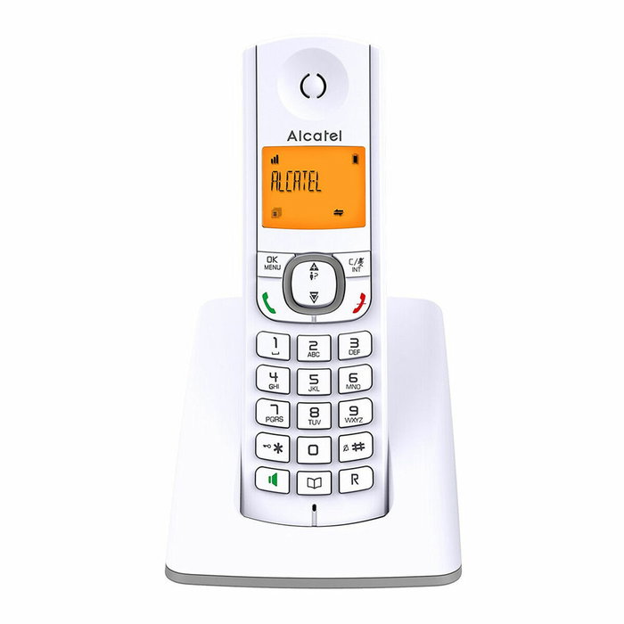 Alcatel F530 Téléphone sans fil Gris et Blanc