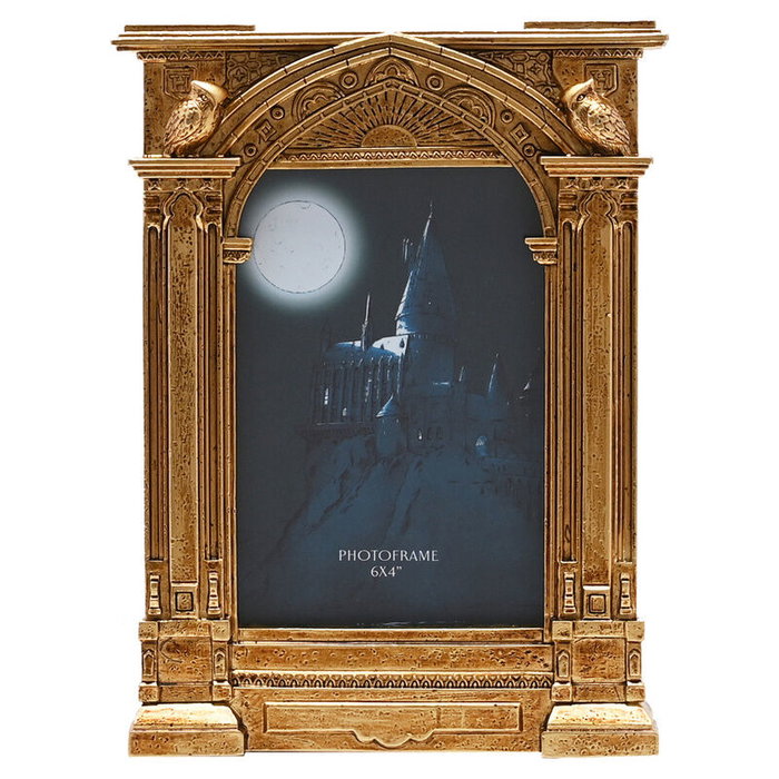 WIDDOP & CO - Cadre photo Harry Potter Hogwarts en résine à effet doré métallisé, design 3D de l'entrée avec support inclus WIDDOP & CO - Cadre photo Harry Potter Hogwarts en résine à effet doré métallisé, design 3D de l'entrée avec support inclus