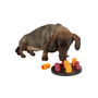 Jouet pour chien Trixie Mini Solitario