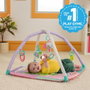 Bright Starts Tapis d'éveil Wild Wiggles Jungle Rose avec Arche