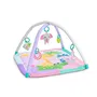 Bright Starts Tapis d'éveil bébé pliable Jungle Rose avec arche, 5 jouets sensoriels et musicaux, miroir sécurisé, pour nouveau-nés