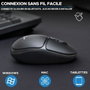 Bluestork Office 25 Souris sans fil Noir