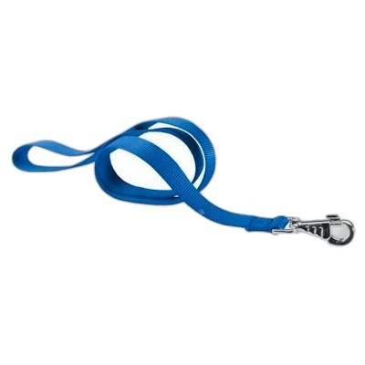 FERPLAST VET Laisse Nylon Club G25 120 Bleu FERPLAST VET Laisse Nylon Club G25 120 Bleu