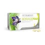 MARNYS Boragemar Huile de Bourrache 60 perles