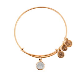 Alex And Ani Pulsera Brillante en Métal