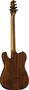 EKO Guitare Électrique Tero 701 Wildwood Natural, Corps Paulownia, Manche Érable Torréfié, 3 Micros Simple