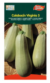 Semillas Fito Semences de Courgette Virginia (Caja de 10)