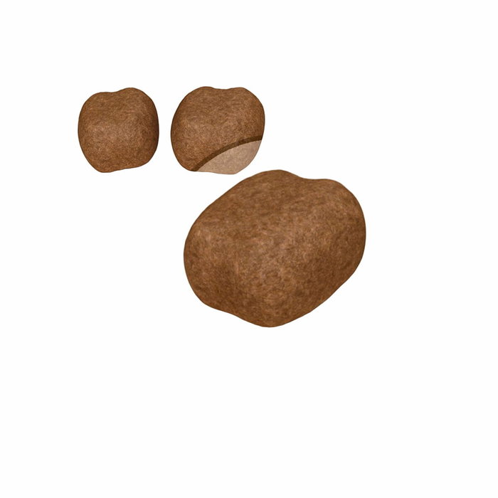 Aliments pour chat Royal Canin Oral Care Adulte Poulet 1,5 Kg