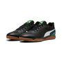 Chaussures de Futsal pour Adultes Puma Truco III Noir