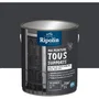 Ripolin - Peinture multi-supports mat gris anthracite RAL 7016 - Application directe bois, métal, béton - Protection UV et intempéries - 2L