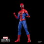 Hasbro Marvel Legends The Amazing Spider-Man - Spider-Man: No Way Home